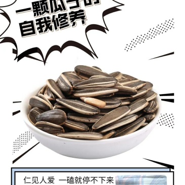 卢司令瓜子