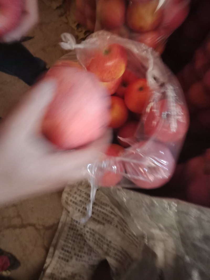 纸袋秦冠