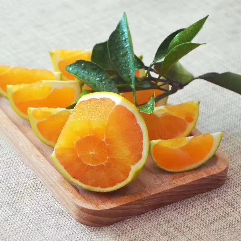 秭归脐橙