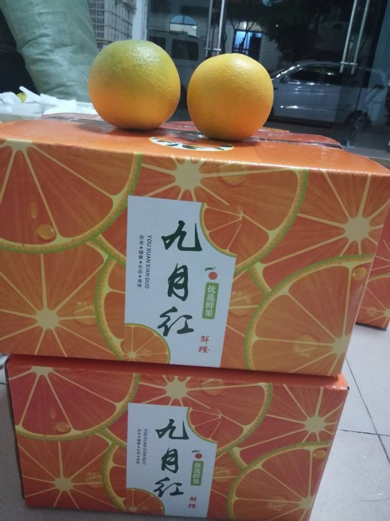 秭归脐橙