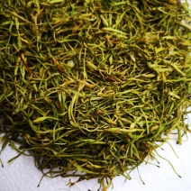 金银花茶湖南金银花茶绿色金银花