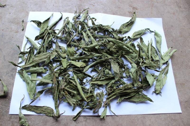 神农万寿茶组合花茶，各种花茶凉茶批发