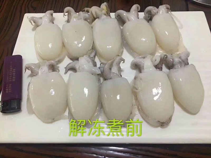 墨鱼仔一箱10斤