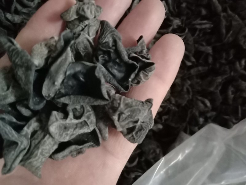 今年新货东北黑木耳，肉厚口感好，欢迎新老客户