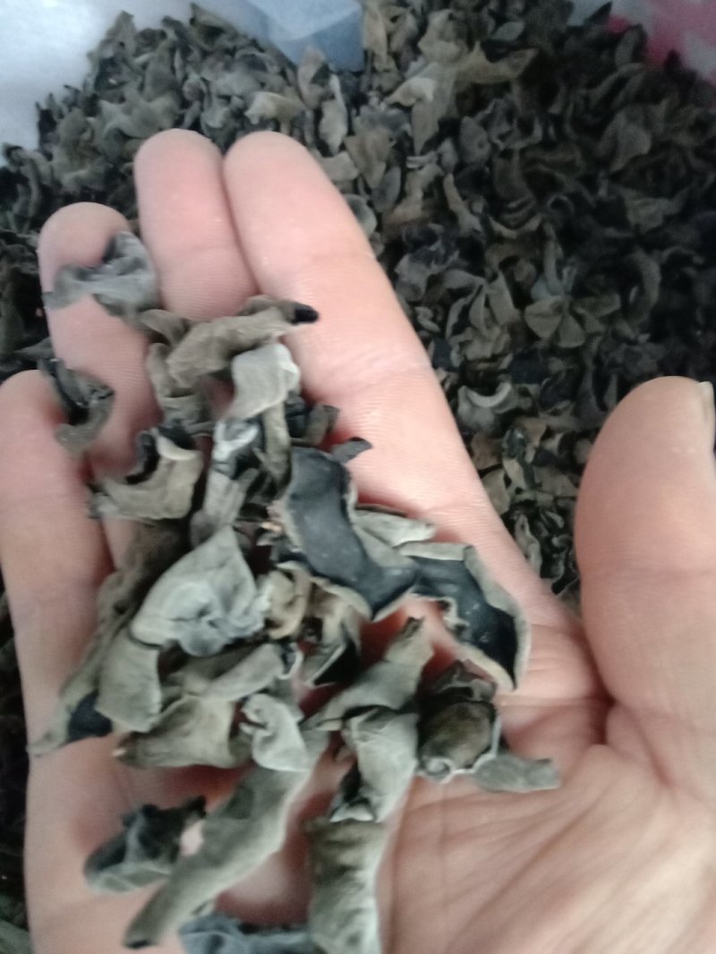 黑木耳大小都有，各种品种皆全，品质保障可在线下单