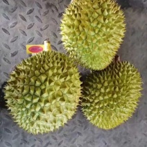 泰国金枕头榴莲