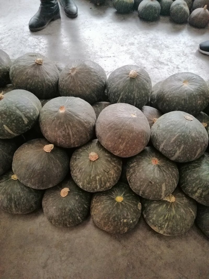山东贝贝南瓜承接各种电商平台合作一件代发