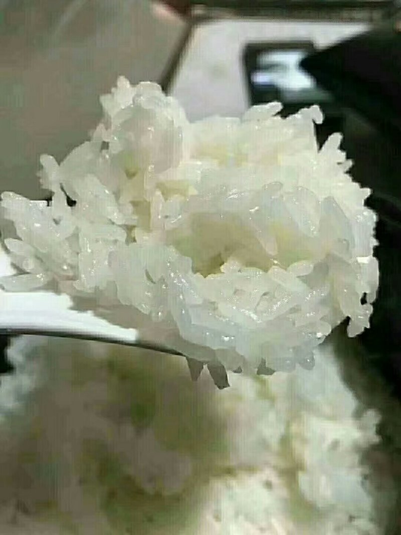 东北大米