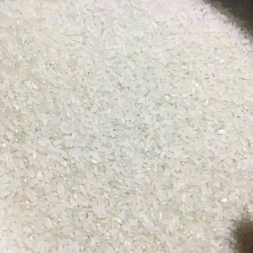 东北大米
