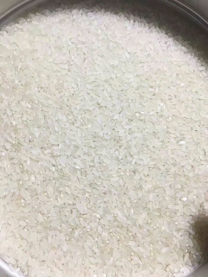 东北大米