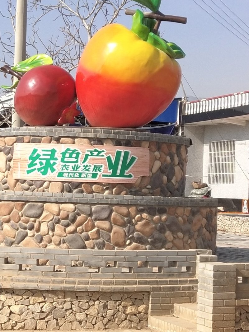 正宗富平曹村霜吊柿饼