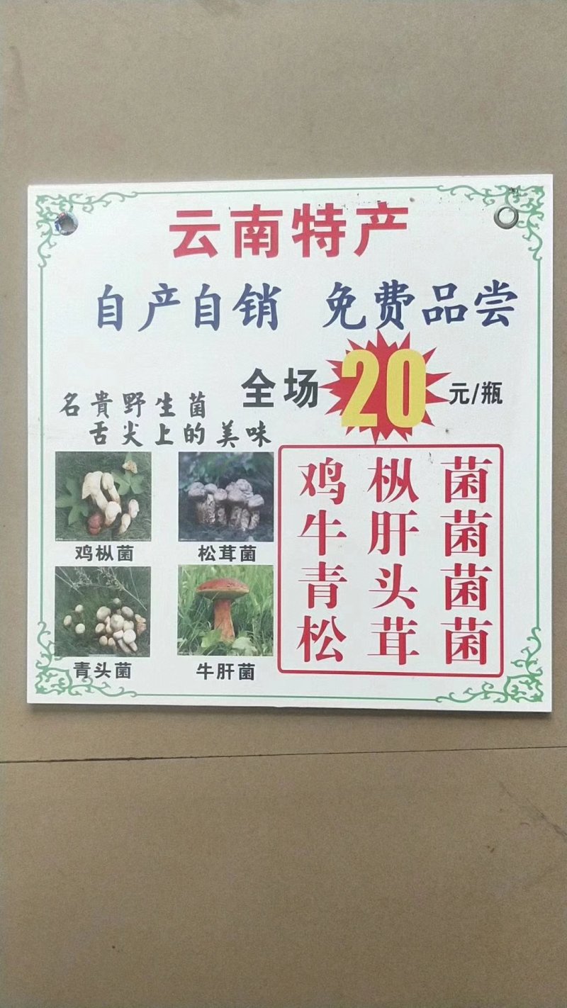 云南特产，各种野生菌