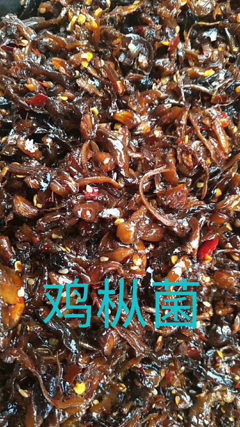 云南特产，各种野生菌