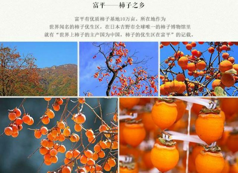 富平柿饼