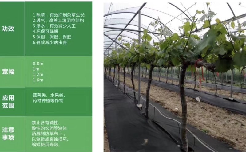 除草布