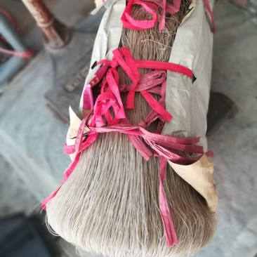 红薯粉条工厂直销量大质优价格优惠一手货源欢迎采购