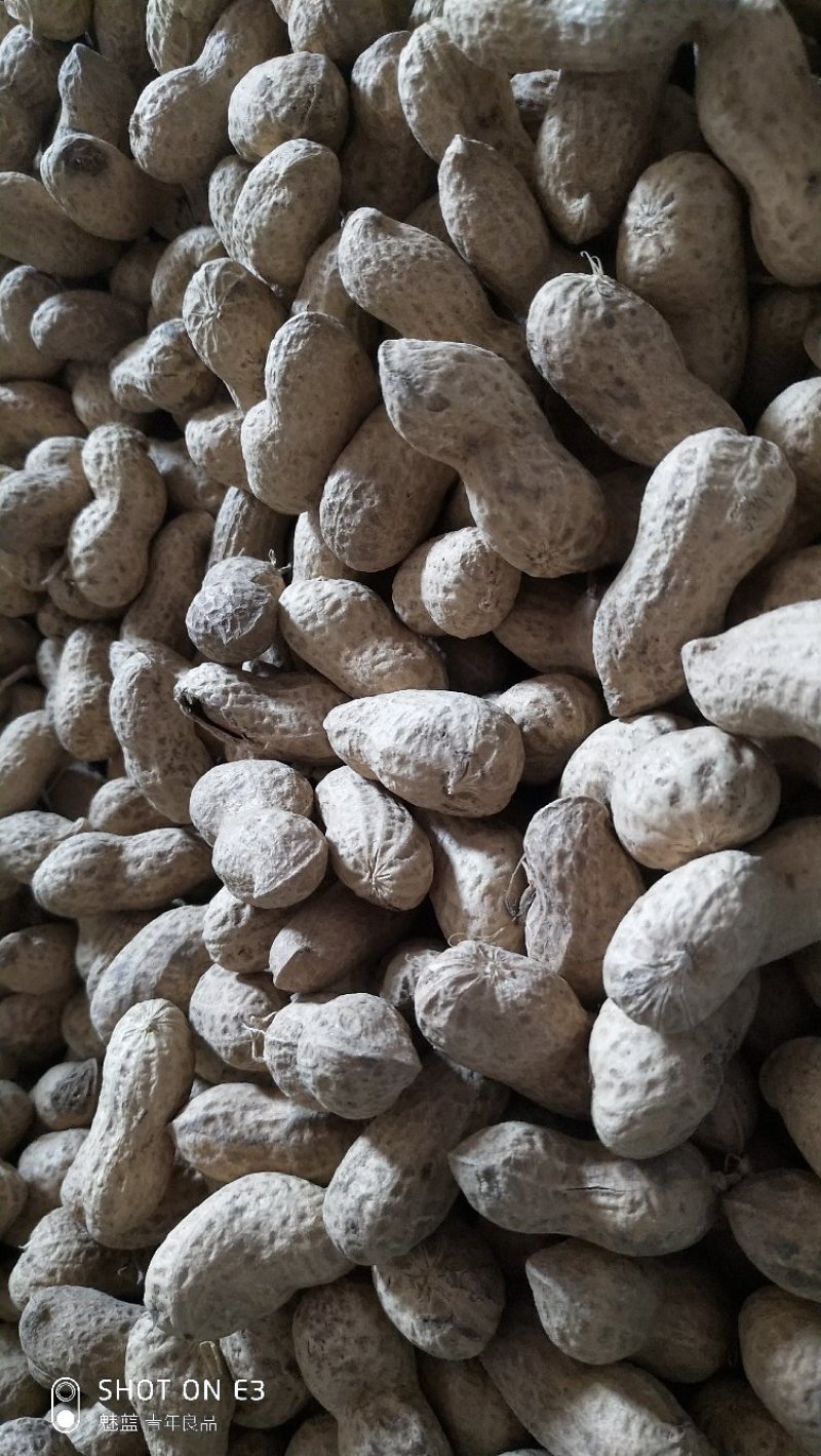 鲁花系列干货产地直发一手货源质量保证