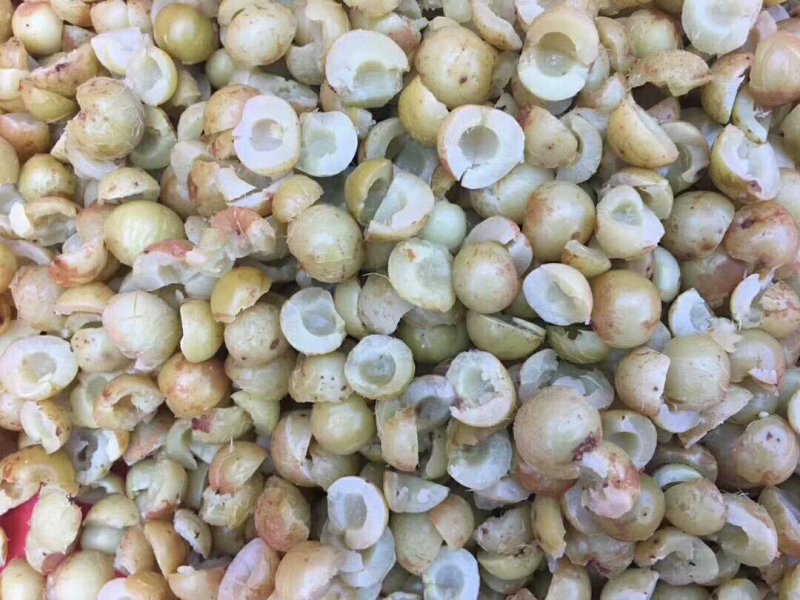 来自大森林里的健康（橄榄干）