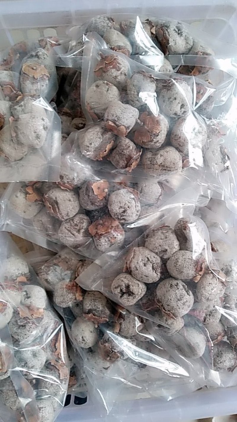 山西运城柿饼量大批发