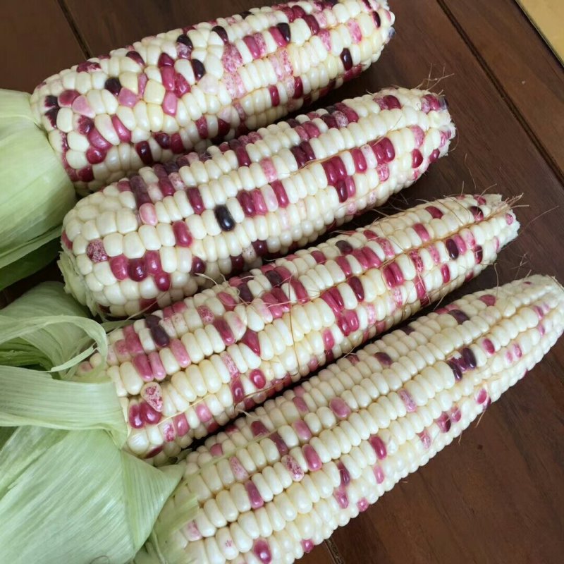 甜玉米，3号线椒