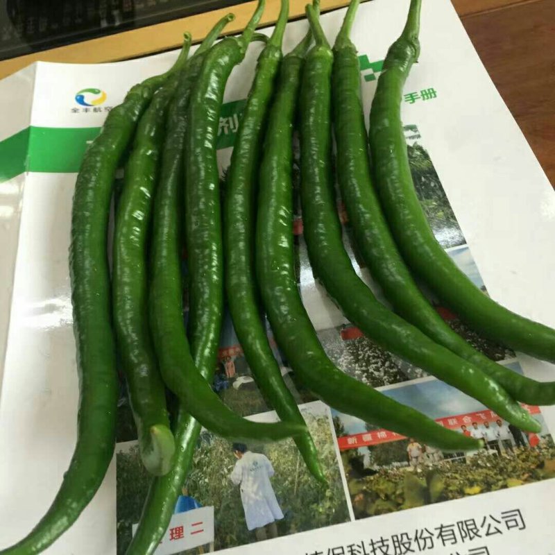 甜玉米，3号线椒