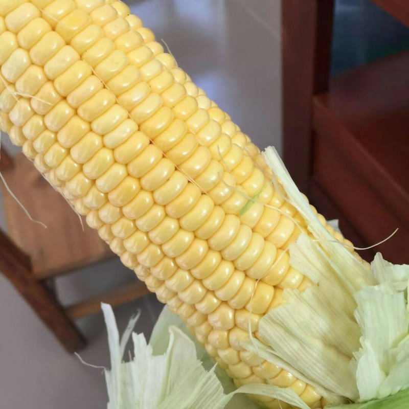 甜玉米，3号线椒