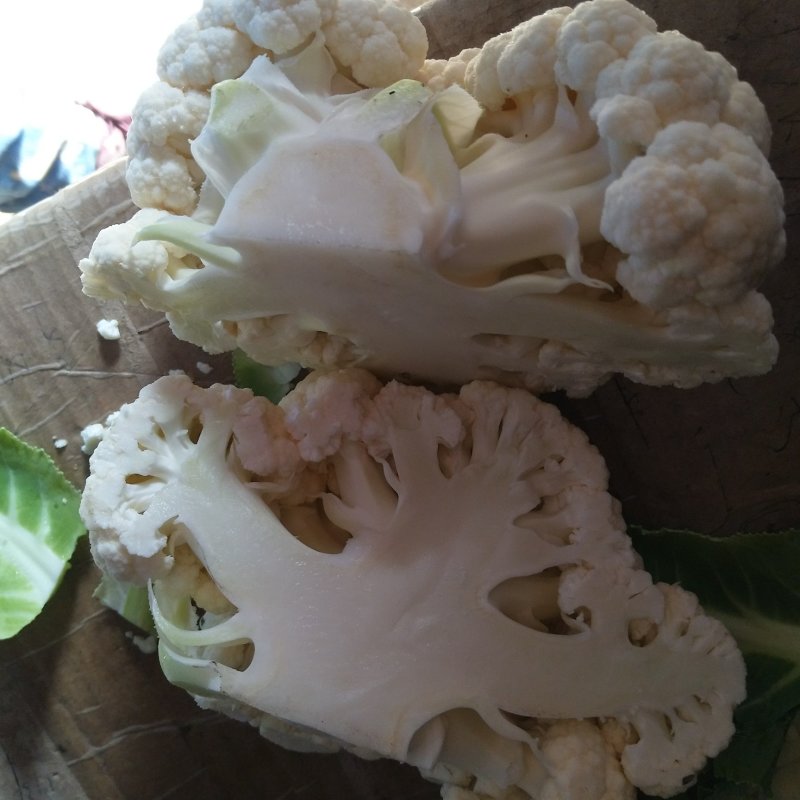 优质菜花.白花菜.实花.花椰菜.诚信代发全国各地