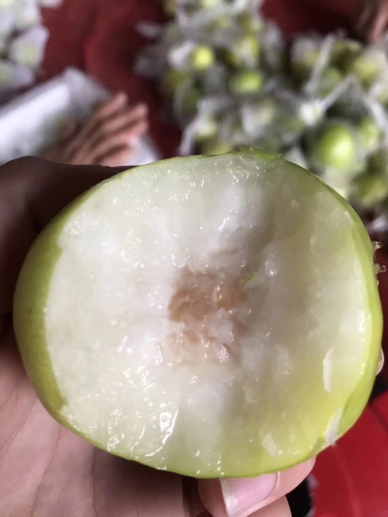 太晚贵妃牛奶蜜枣5斤泡沫箱
