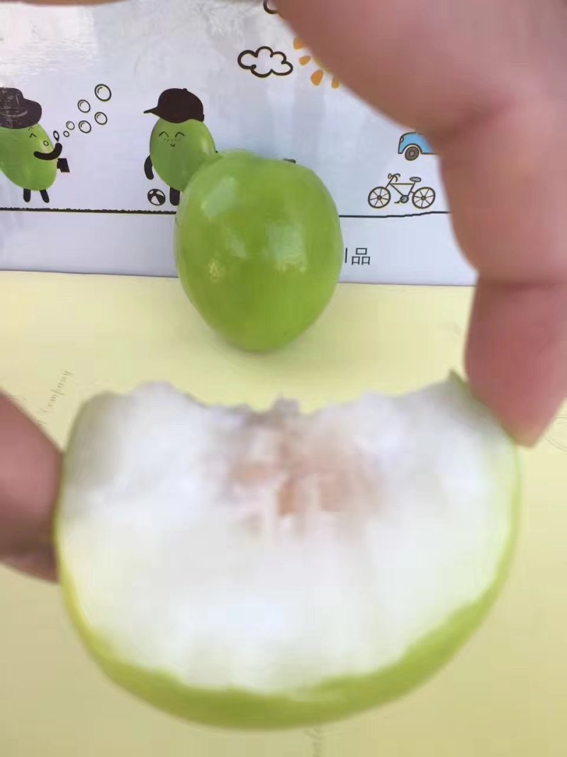 太晚贵妃牛奶蜜枣5斤泡沫箱