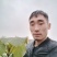 梓树小苗