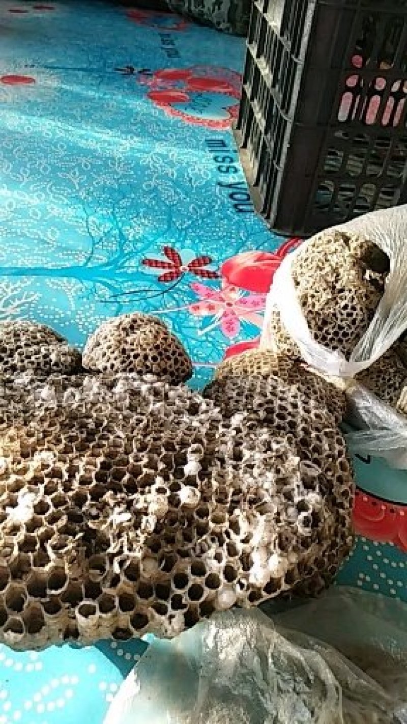 蜂房大小眼新货2024好货