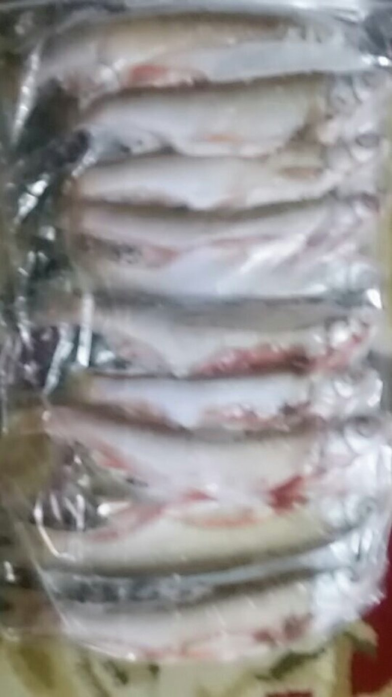 野生江鱼