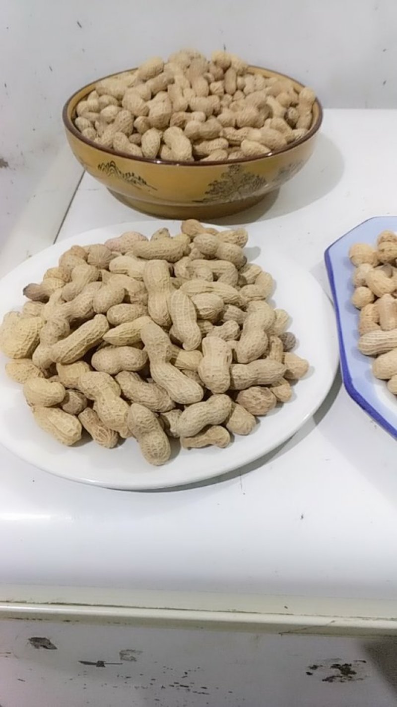 花生熟花生5至10斤一袋加工炒熟高质层层筛选鲜美可口包邮