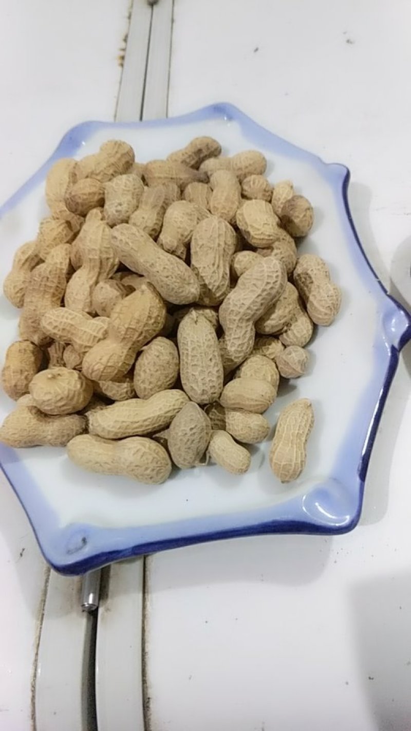 花生熟花生5至10斤一袋加工炒熟高质层层筛选鲜美可口包邮