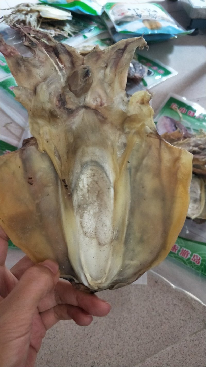 墨鱼干，炖汤，佳品。