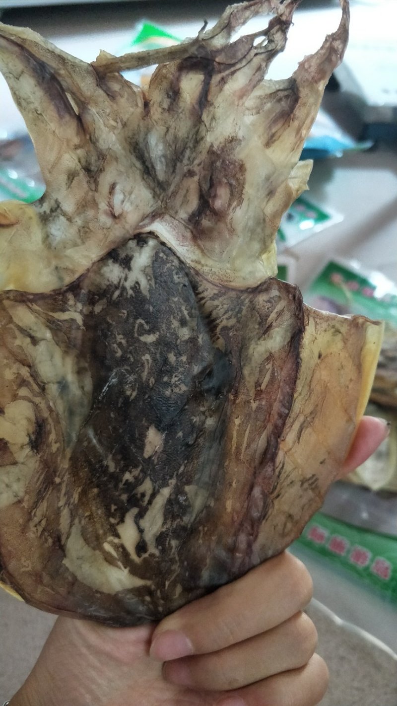 墨鱼干，炖汤，佳品。
