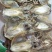墨鱼干，炖汤，佳品。