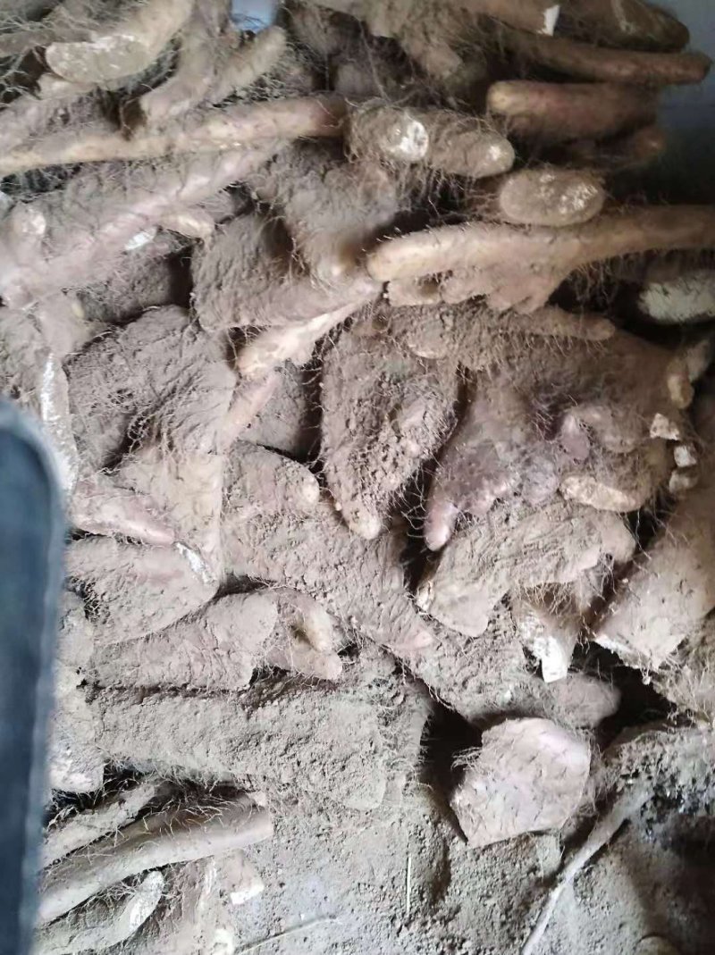 麻山药饼子头，干面好吃