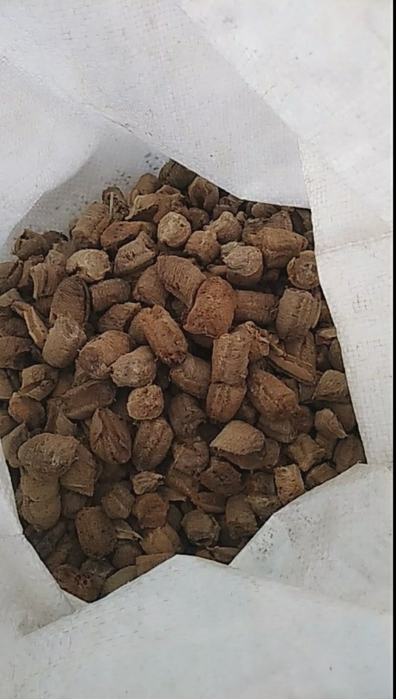 蜂房大小眼新货2024好货