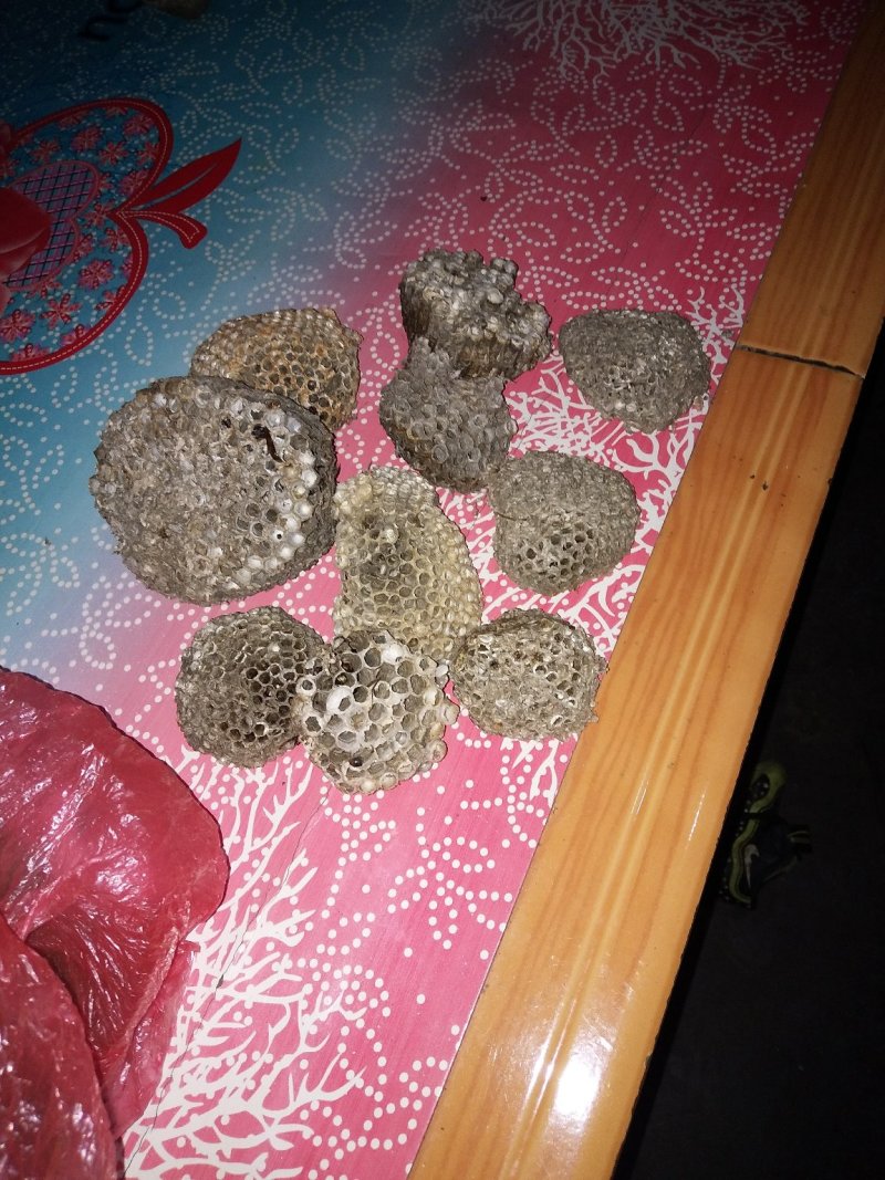 蜂房大小眼新货2024好货
