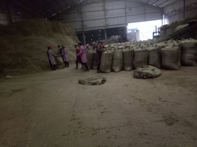 益母草大货，规格齐全