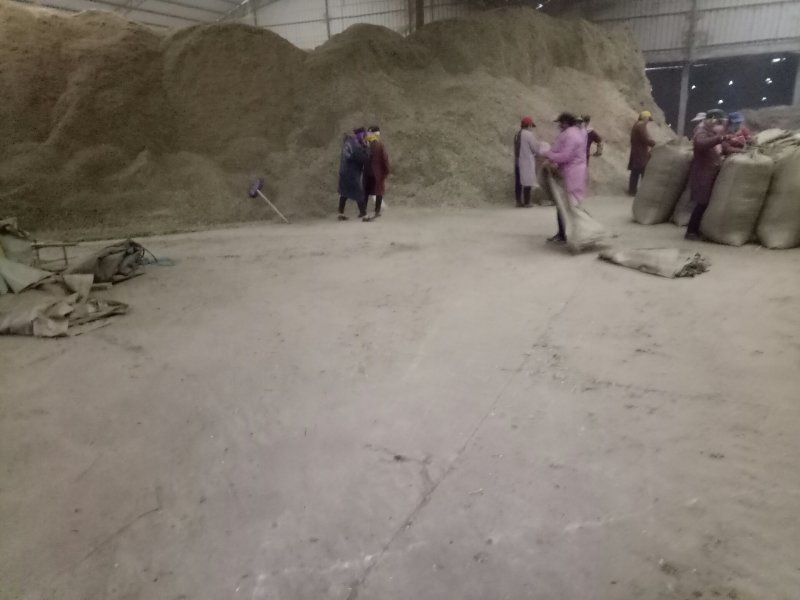 益母草大货，规格齐全