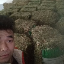 益母草大货，规格齐全
