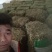 益母草大货，规格齐全