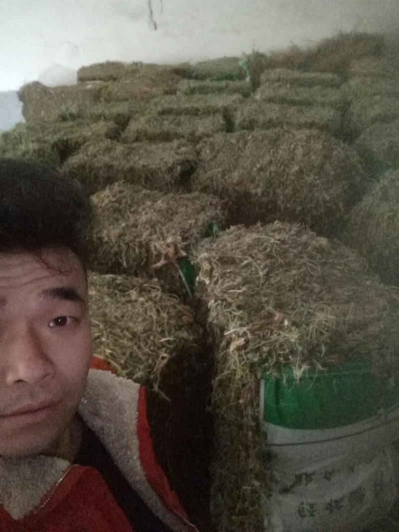 益母草大货，规格齐全