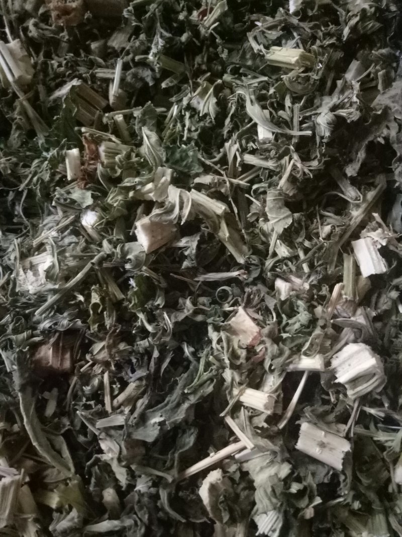 益母草大货，规格齐全