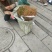 【毛桃苗】河南南阳苗木基地直供品质保证货量充足