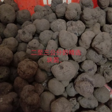 松露每个等级都。