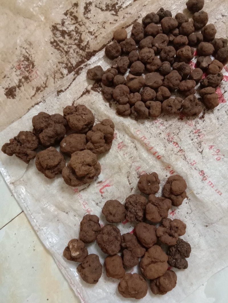 松露每个等级都。