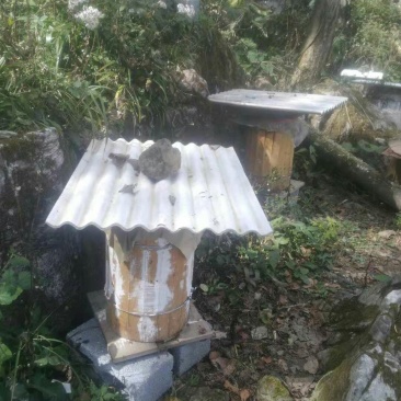 土蜂蜜